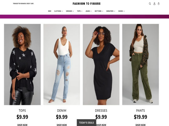 Fashion to Figure review, a site that is one of many popular Plus Sized Women's Clothing