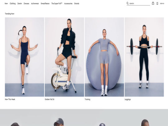 Aritzia review, a site that is one of many popular Women's eCommerce Stores